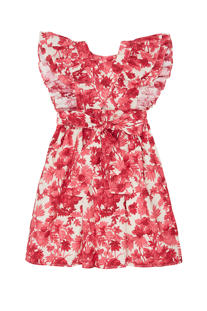Sage Dress