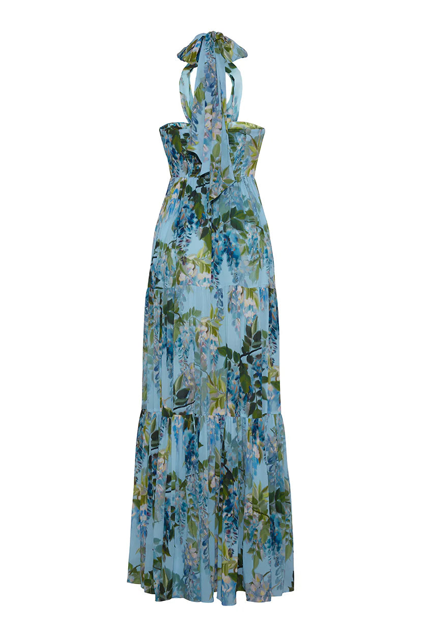 Piana Maxi Dress