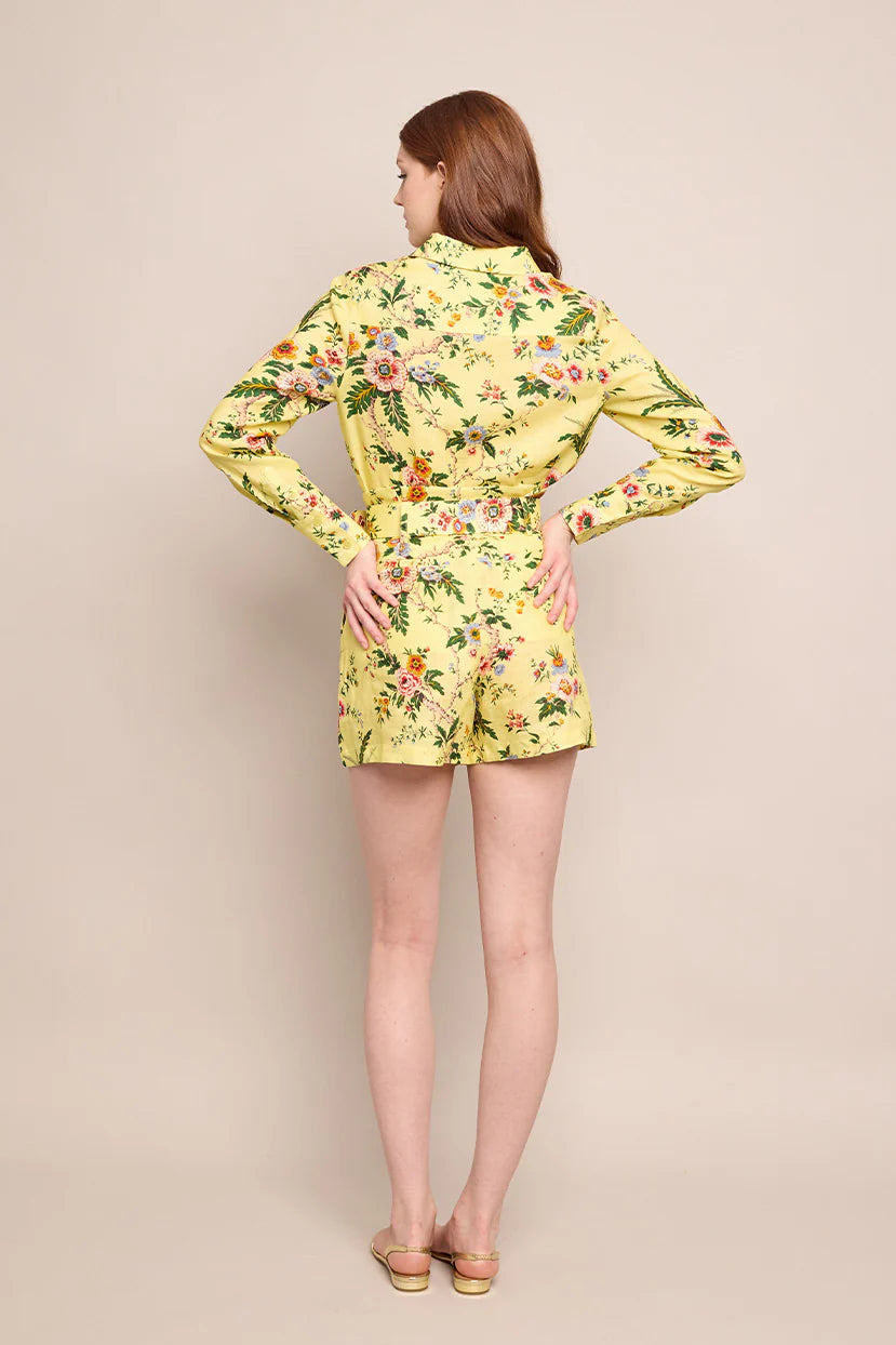 Palmer Shorts