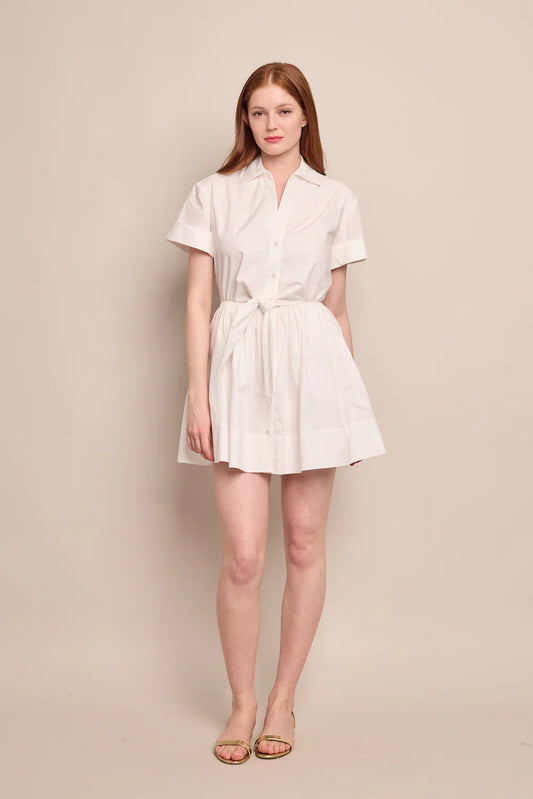 Asbury Mini Dress