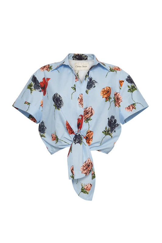 Asbury Top